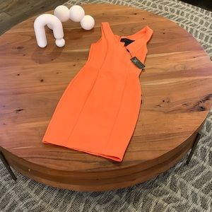 Rare Women’s Kardashian dress